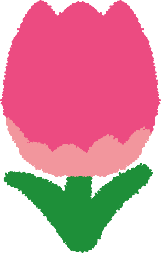 a pink tulip on a green stem